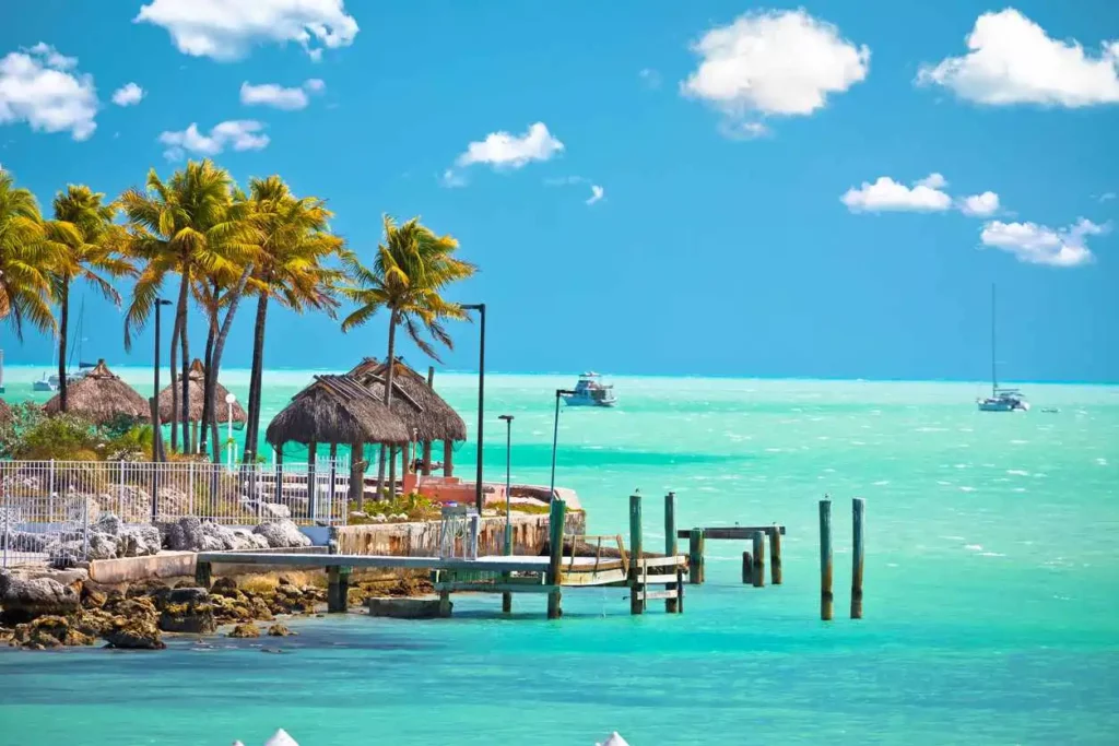 palm trees at a seashore with light blue water
