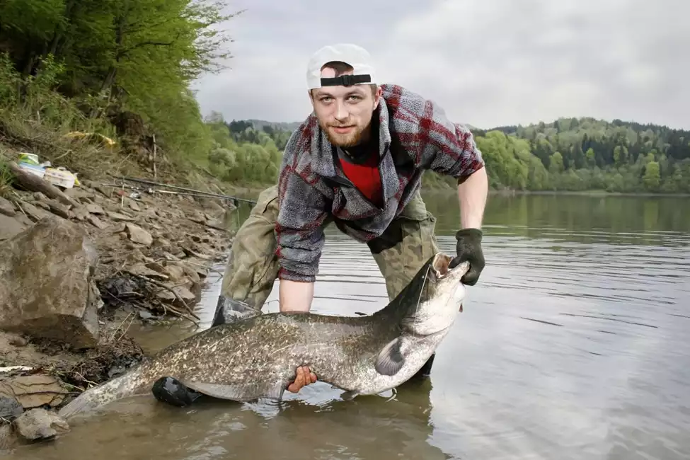 A photo of a man holding a large catfish