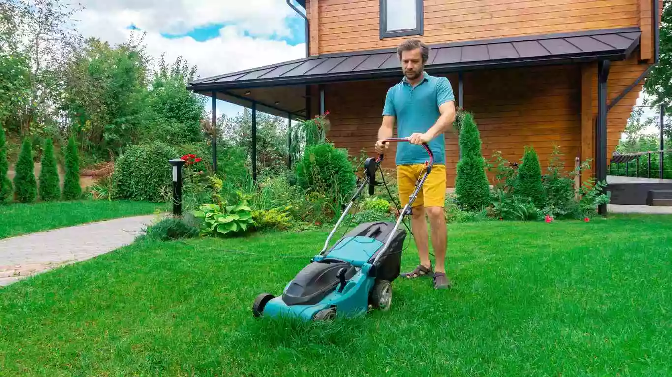 How To Efficiently Store Your Lawn Care Equipment